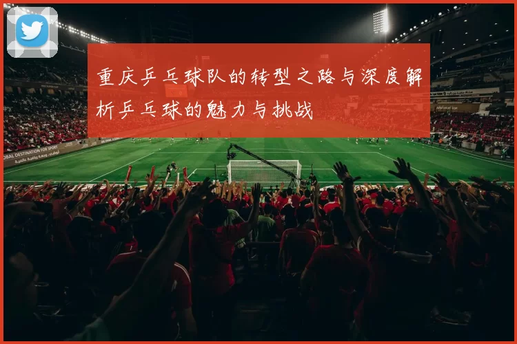 重庆乒乓球队的转型之路与深度解析乒乓球的魅力与挑战