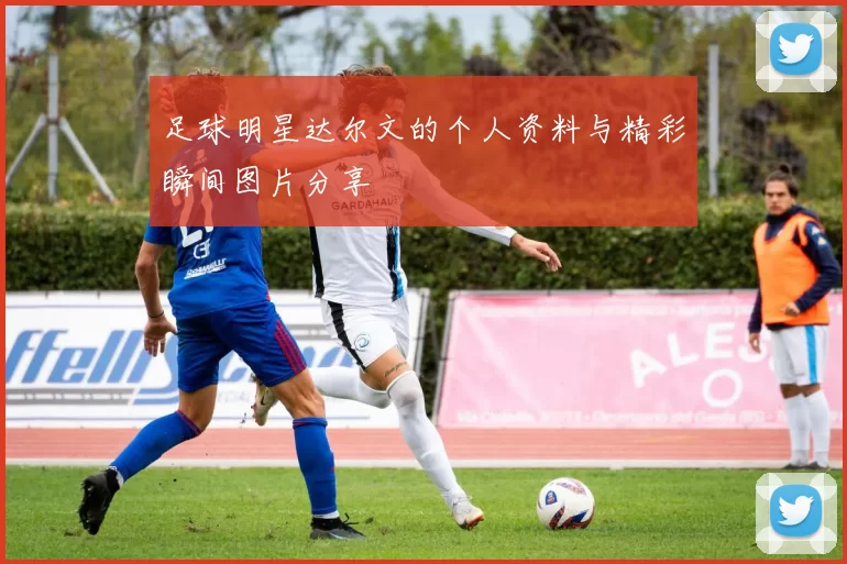 足球明星达尔文的个人资料与精彩瞬间图片分享