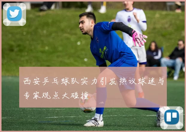 西安乒乓球队实力引发热议球迷与专家观点大碰撞