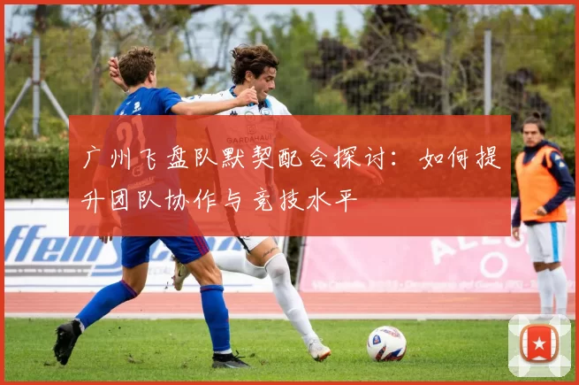 广州飞盘队默契配合探讨：如何提升团队协作与竞技水平