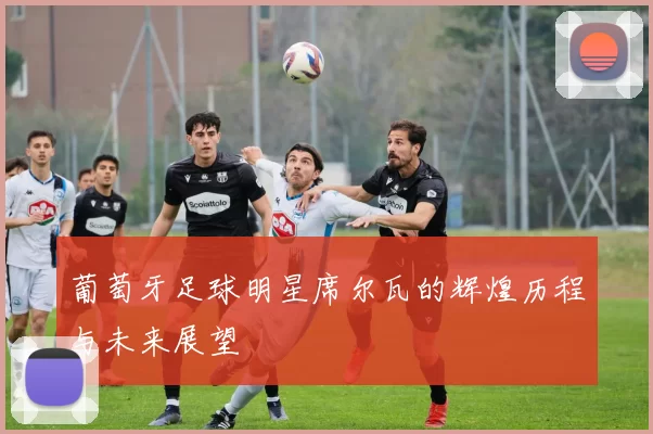 葡萄牙足球明星席尔瓦的辉煌历程与未来展望