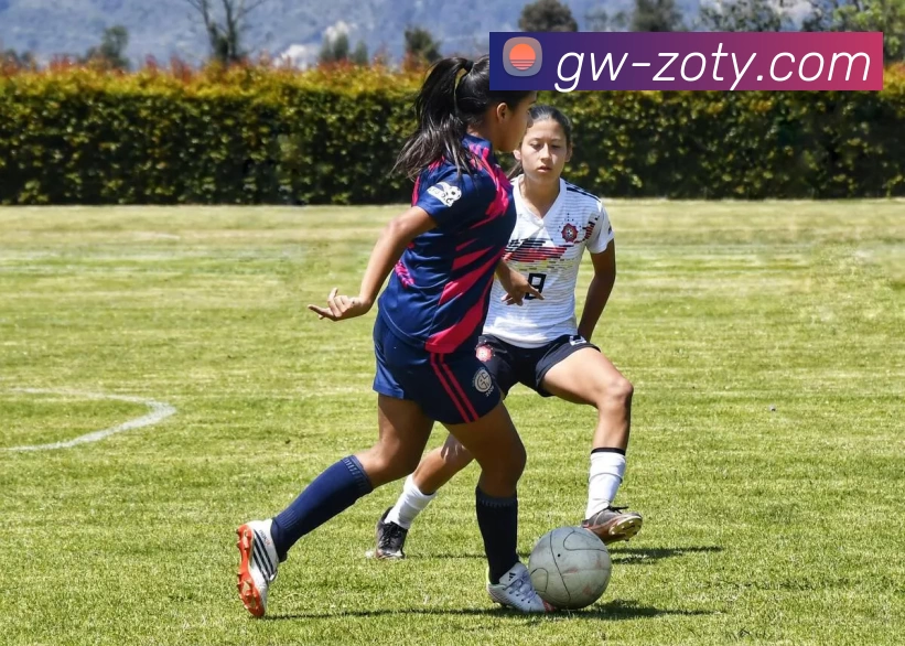 中欧体育APP 封面图